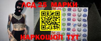 молекула духа Камышлов