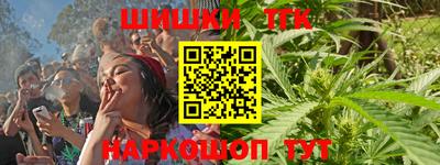 молекула духа Камышлов