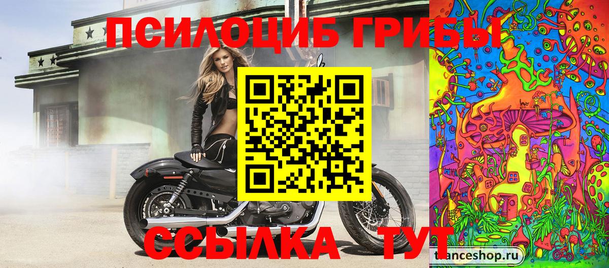 Псилоцибиновые грибы MAGIC MUSHROOMS Чернушка